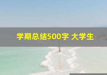 学期总结500字 大学生